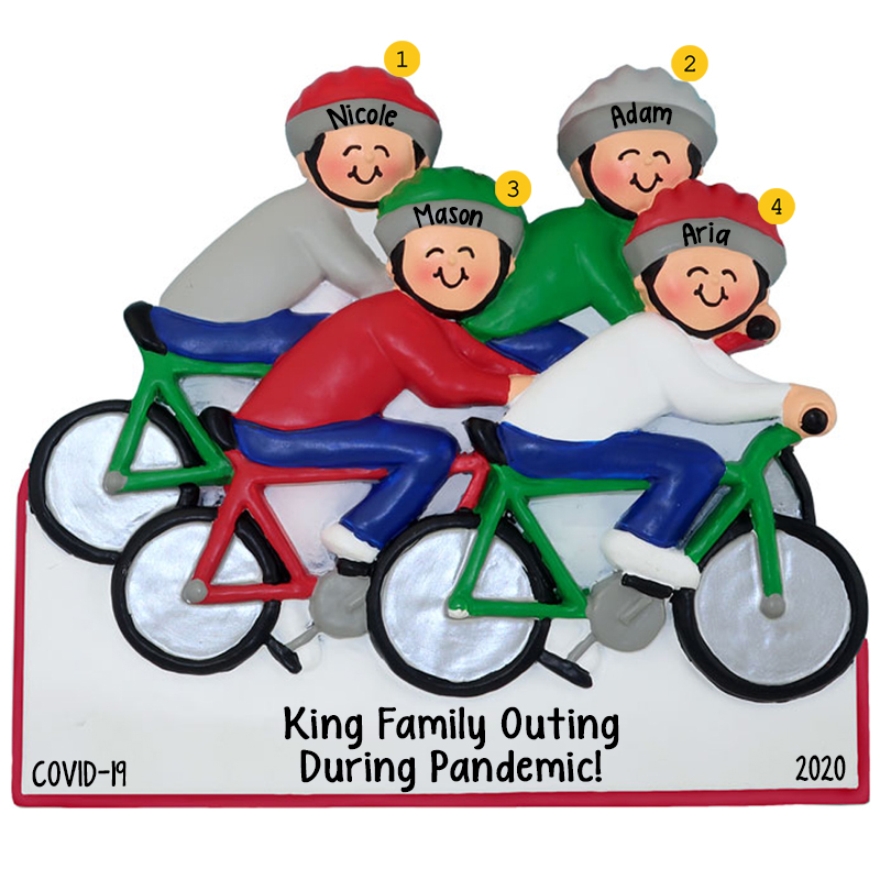 bikes for the family
